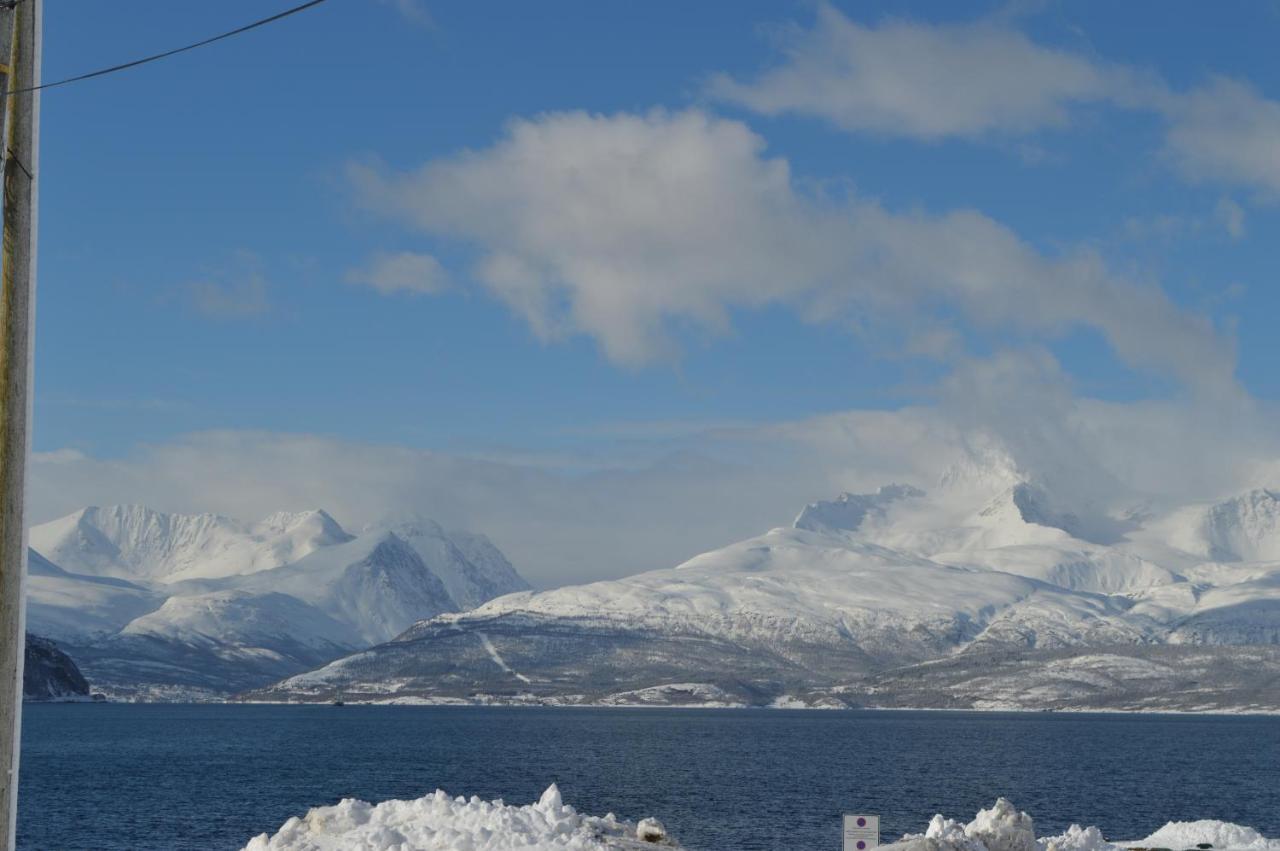 הוילה Olderdalen Lyngenfjord, Froyas Hus מראה חיצוני תמונה